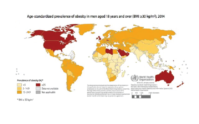 Tỷ lệ hiện mắc béo phì trên toàn cầu
