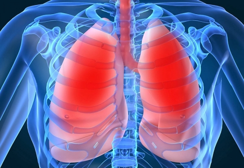 Công nghệ hình ảnh y tế tiên tiến 