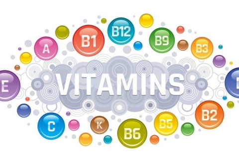 Vai trò của vitamin và khoáng chất với sức khỏe con người