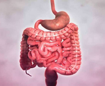 Nguyên nhân chính gây ra bệnh Crohn