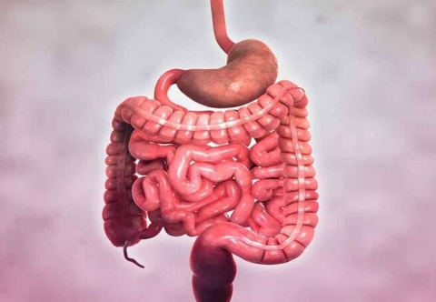 Nguyên nhân chính gây ra bệnh Crohn