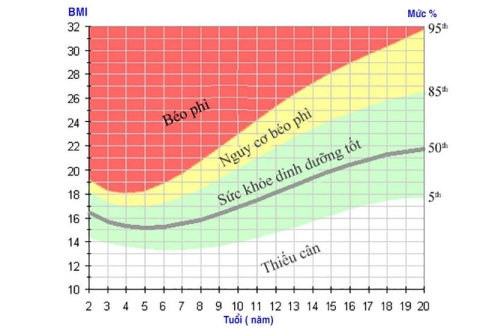 Cách tính chỉ số BMI để xác định mức độ béo phì của trẻ em