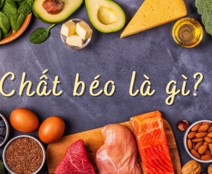Vai trò của chất béo với sức khỏe con người