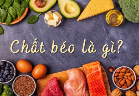 Vai trò của chất béo với sức khỏe con người