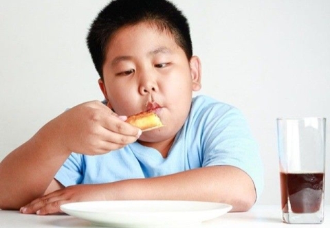Nguyên nhân gây béo phì ở trẻ em