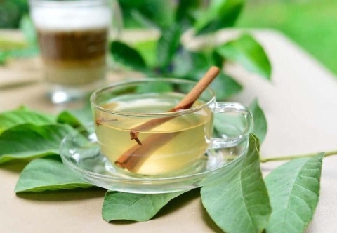 Sự thật về việc uống nước lá ổi giảm cân