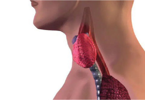 Điều gì dẫn bạn tới ung thư thực quản?