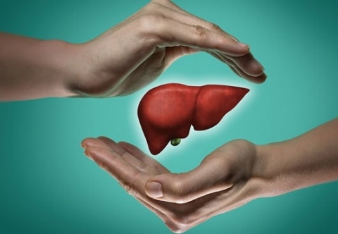 Bước đột phá trong điều trị xơ gan do bệnh gan nhiễm mỡ