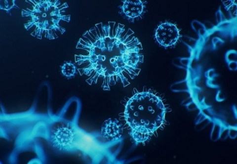 Hội thảo quốc tế về các bệnh virus mới nổi và tái nổi